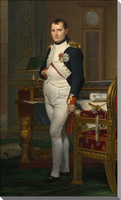 Картины на пластике, пеноркартоне The Emperor Napoleon (By Jacques-Louis David)