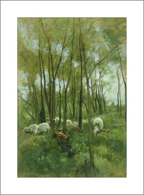 Купить и печать на заказ Картины, фото с паспарту Овцы в лесу
