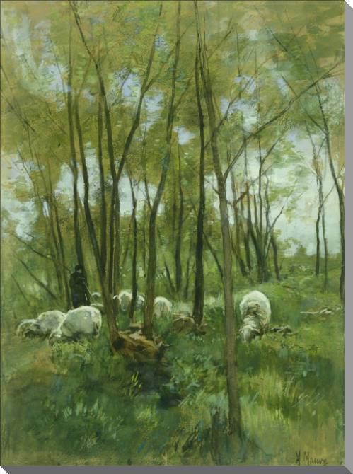 Картины на пластике, пеноркартоне Sheep in the forest (Anton Mauve)