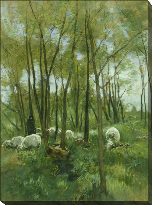 Картины на холсте Sheep in the forest (Anton Mauve)