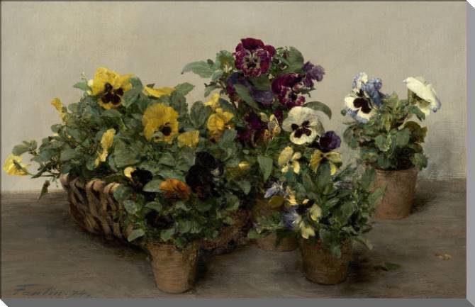Картины на пластике, пеноркартоне Pansy (Henri Fantin-Latour)