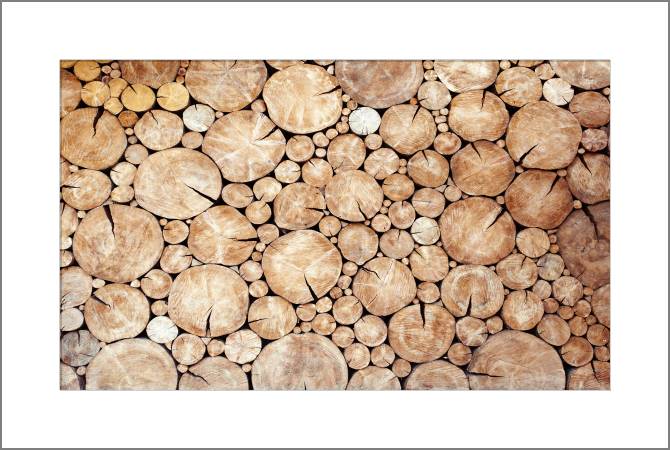 Paintings, photos from Passepartout Logs