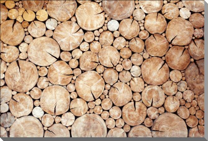 Картины на пластике, пеноркартоне Logs