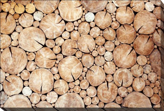 Paintings on canvas Logs