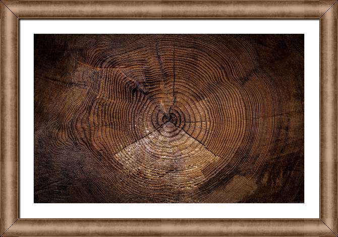 Купить и печать на заказ Картины в рамке, багете Старый срез дерева