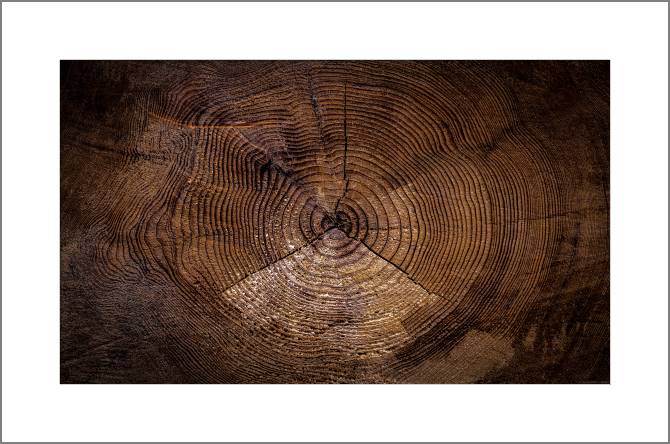 Paintings, photos from Passepartout Old cut wood