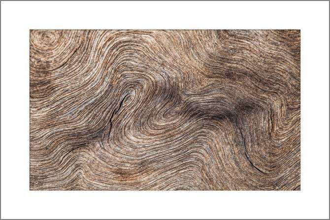 Paintings, photos from Passepartout Old wood background