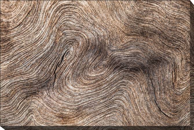 Paintings on canvas Old wood background