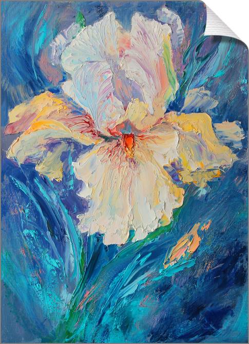 Paintings on canvas White iris