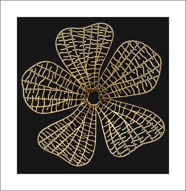 Купить и печать на заказ Картины, фото с паспарту Золотой цветок