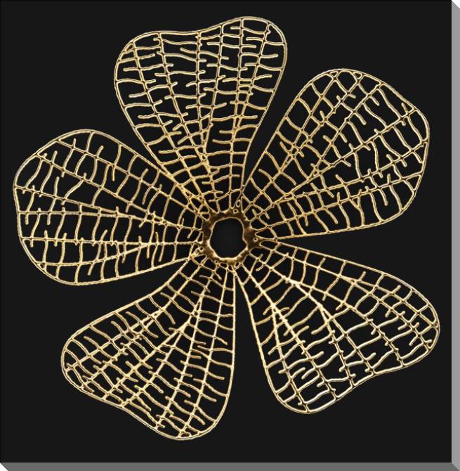 Картины на пластике, пеноркартоне Series gold art objects черном_1