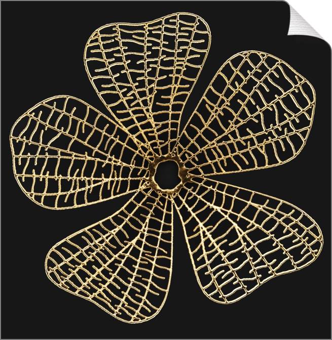 Paintings on canvas Series gold art objects черном_1