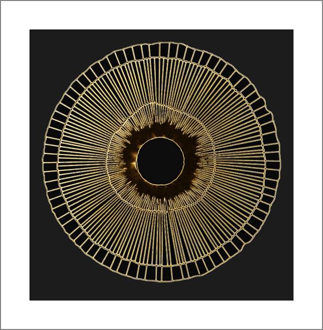 Купить и печать на заказ Картины, фото с паспарту Золотистая круглая абстракция