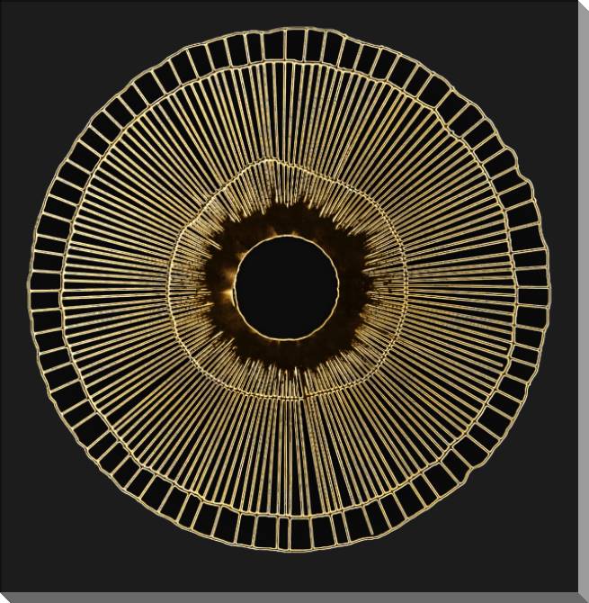 Картины на пластике, пеноркартоне Series gold art objects черном_2