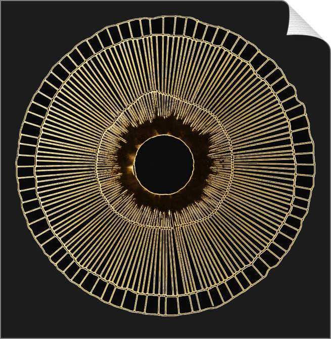 Paintings on canvas Series gold art objects черном_2