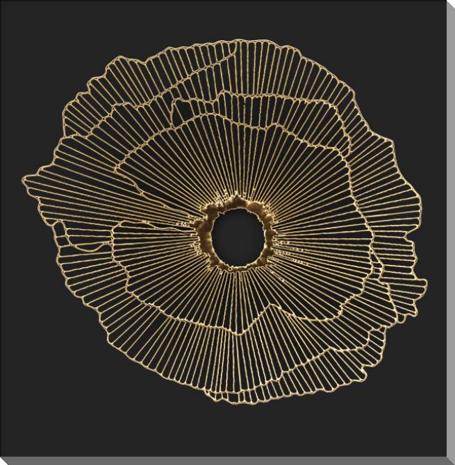 Картины на пластике, пеноркартоне Series gold art objects черном_6