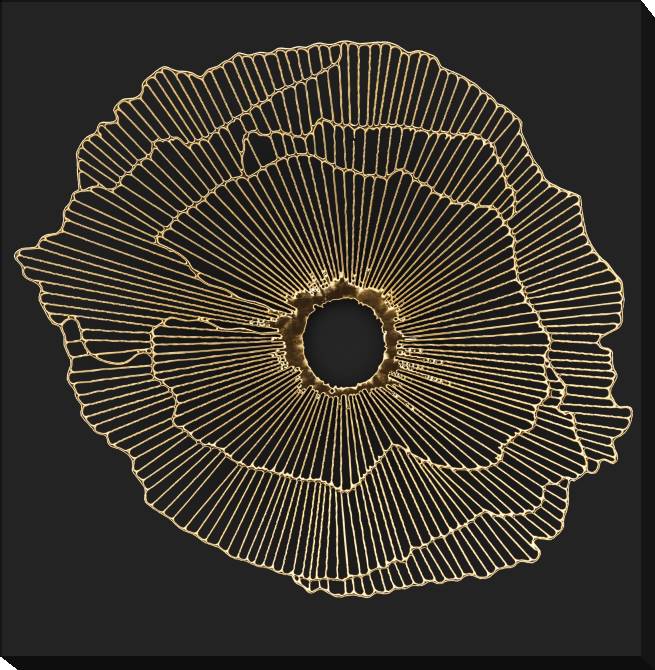 Картины на холсте Series gold art objects черном_6