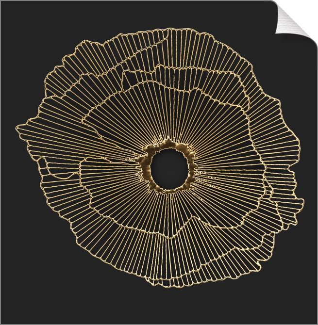 Paintings on canvas Series gold art objects черном_6