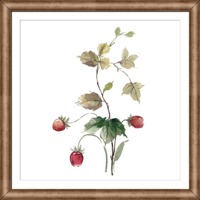 Купить и печать на заказ Картины в рамке, багете Земляничная ветка