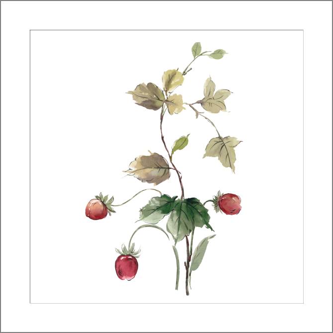 Купить и печать на заказ Картины, фото с паспарту Земляничная ветка