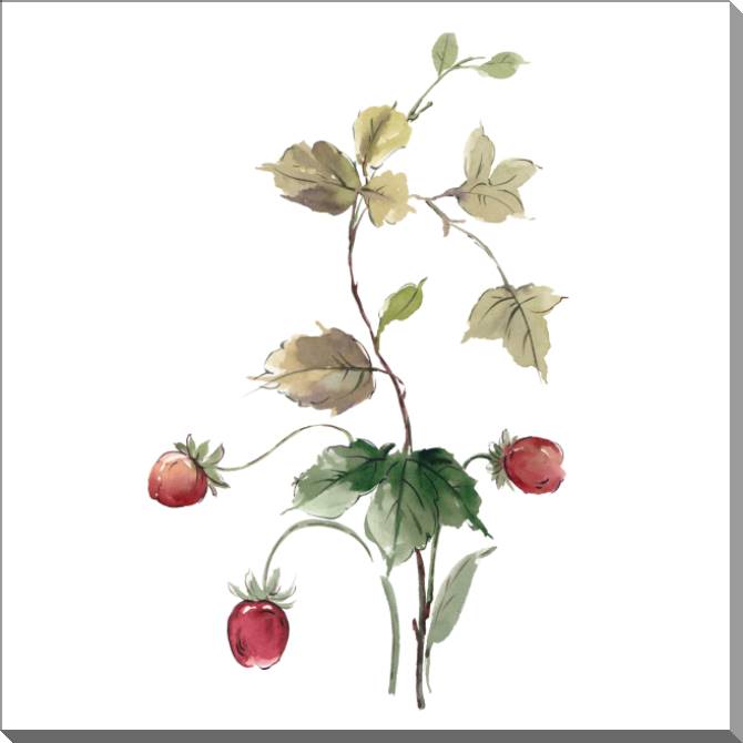 Картины на пластике, пеноркартоне A series of delicate watercolor floral стиль_2