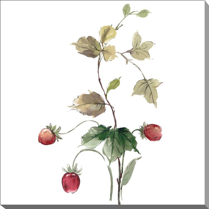 Paintings on canvas A series of delicate watercolor floral стиль_2