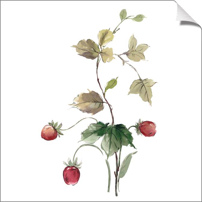 Картины на холсте A series of delicate watercolor floral стиль_2