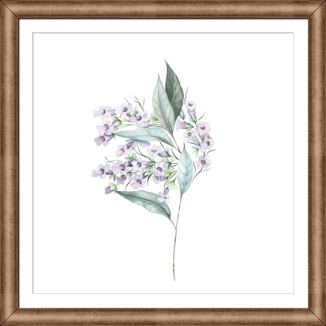 Картины в рамке, багете A series of delicate watercolor floral стиль_3
