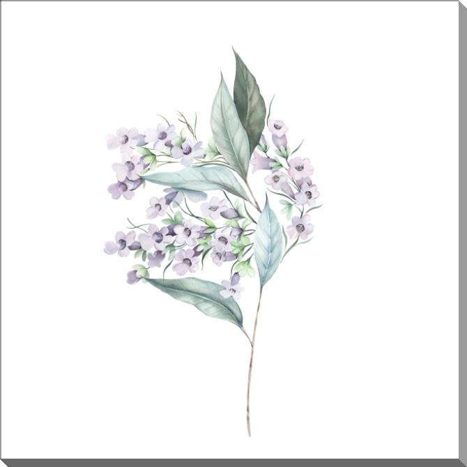 Картины на пластике, пеноркартоне A series of delicate watercolor floral стиль_3