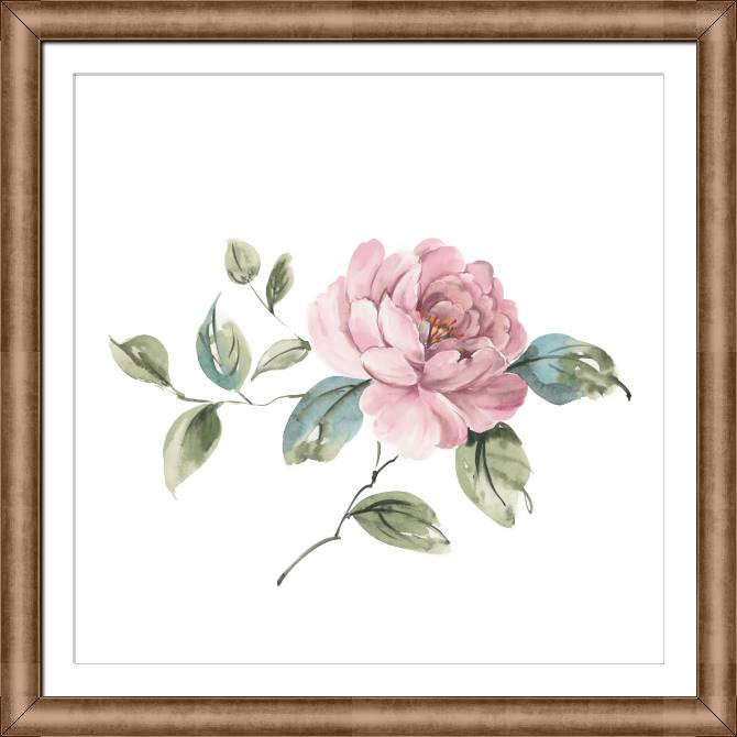 Картины в рамке, багете A series of delicate watercolor floral стиль_4
