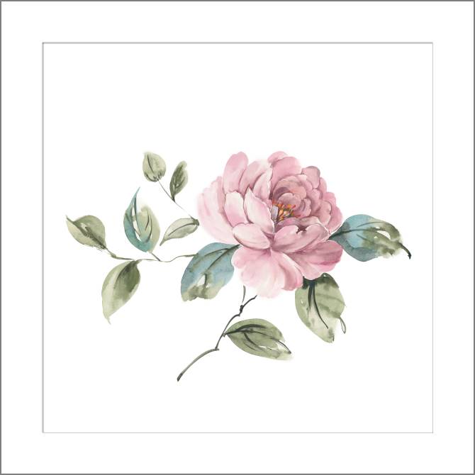 Купить и печать на заказ Картины, фото с паспарту Нежно-розовый пион