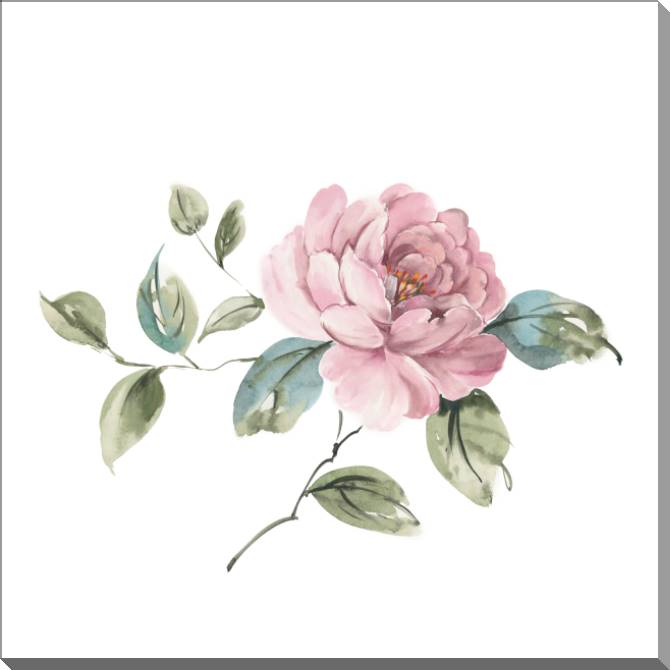Картины на пластике, пеноркартоне A series of delicate watercolor floral стиль_4