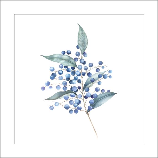 Купить и печать на заказ Картины, фото с паспарту Ветка синих ягод