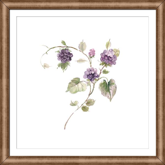 Купить и печать на заказ Картины в рамке, багете Ветка ежевики