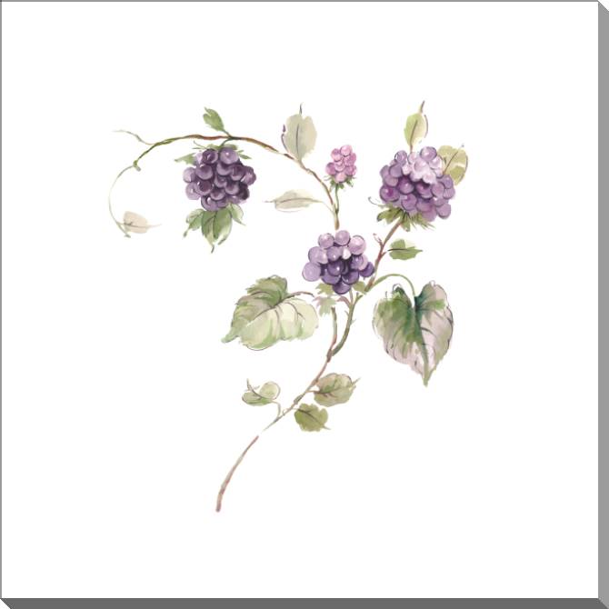 Картины на пластике, пеноркартоне A series of delicate watercolor floral стиль_7