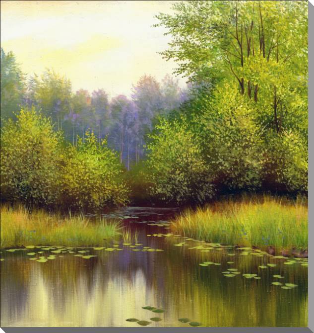 Картины на пластике, пеноркартоне Forest lake in summer