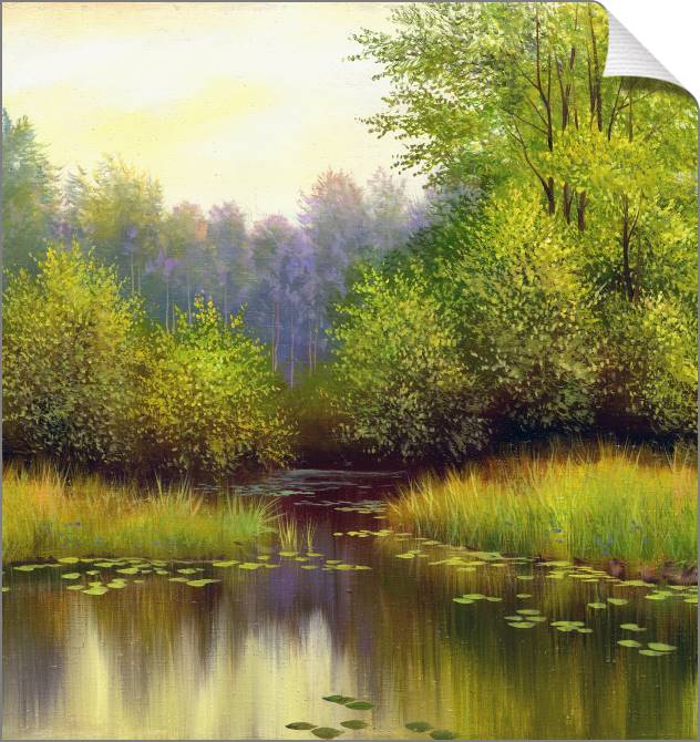 Картины на холсте Forest lake in summer