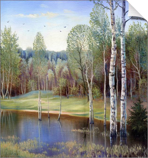 Картины на холсте Spring forest