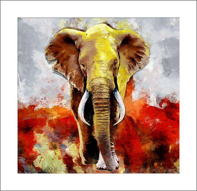 Купить и печать на заказ Картины, фото с паспарту Африканский слон