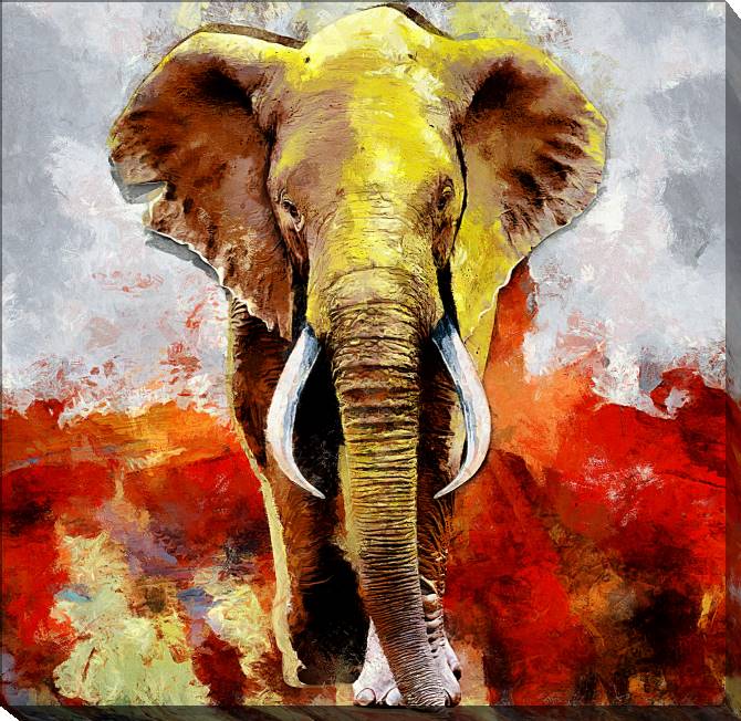 Купить и печать на заказ Картины Африканский слон