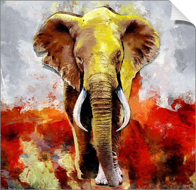 Купить и печать на заказ Картины на холсте Африканский слон