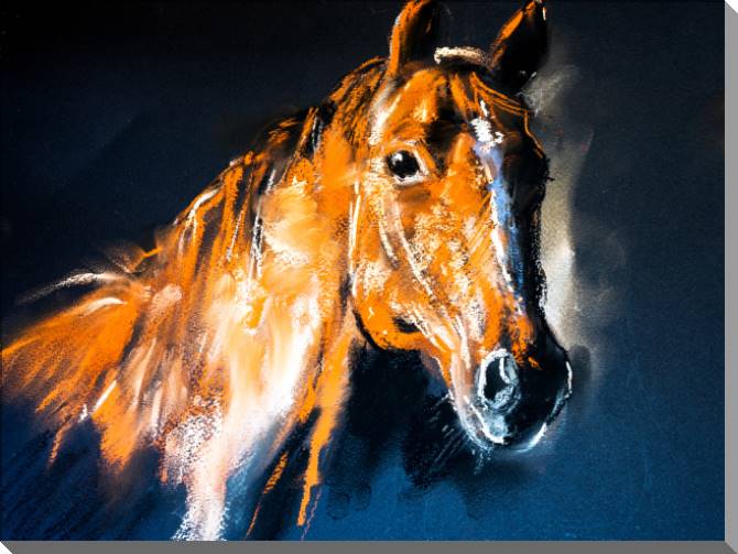 Картины на пластике, пеноркартоне Horse drawing with pastels