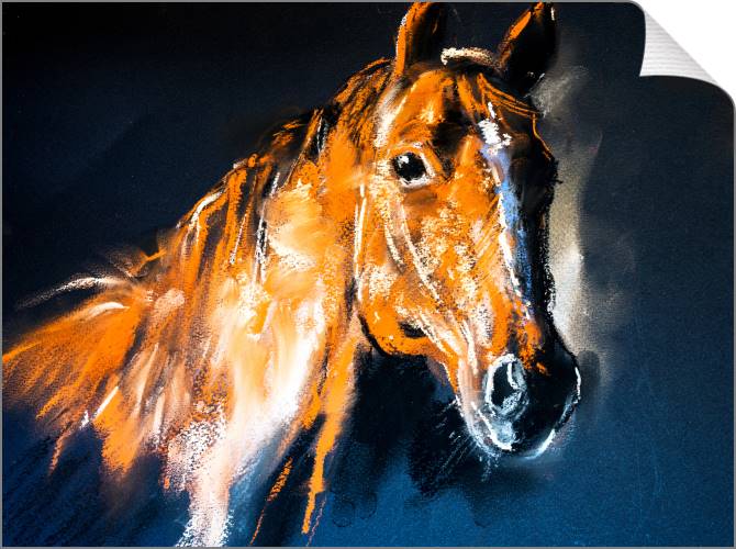 Купить и печать на заказ Картины на холсте Лошадь рисунок пастелью