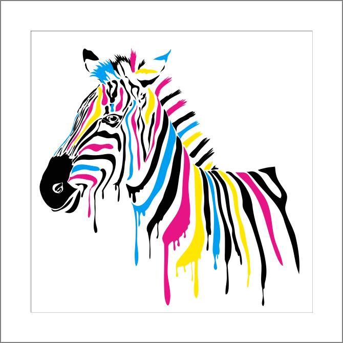 Купить и печать на заказ Картины, фото с паспарту Разноцветная зебра