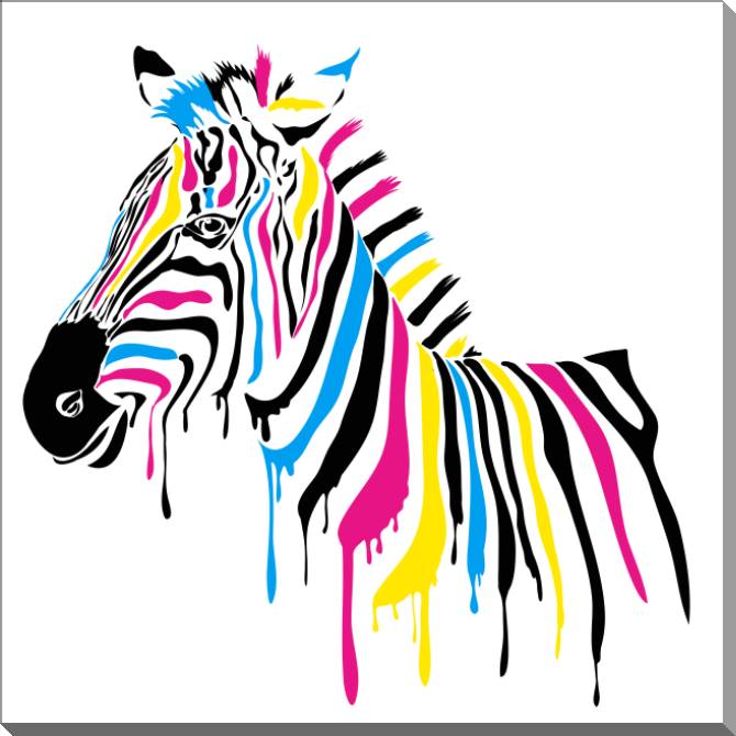 Картины на пластике, пеноркартоне Colorful Zebra