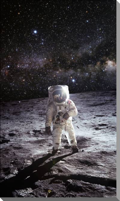 Картины на пластике, пеноркартоне Astronaut on the moon