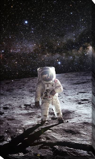 Картины на холсте Astronaut on the moon