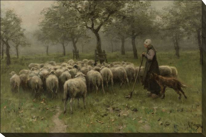 Картины на холсте Shepherdess with flock of sheep (Anton Mauve)