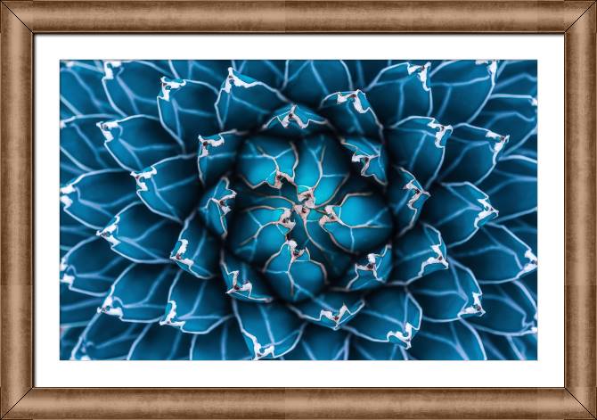 Купить и печать на заказ Картины в рамке, багете Агава