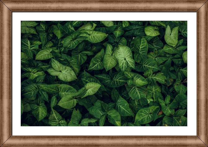 Купить и печать на заказ Картины в рамке, багете Густая листва
